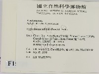 登錄號:F0015289藏品圖，第2張