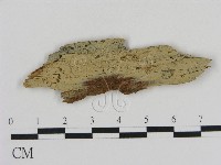 登錄號:F0015289藏品圖，第1張