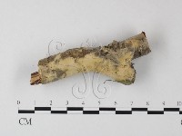 登錄號:F0015290藏品圖，第3張