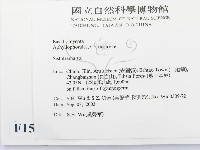 登錄號:F0015291藏品圖，第2張