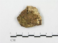 登錄號:F0015291藏品圖，第1張