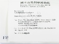 登錄號:F0015292藏品圖，第2張