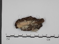 登錄號:F0015293藏品圖，第1張