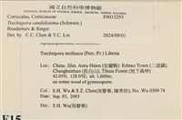 登錄號:F0015293藏品圖，第3張