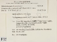 登錄號:F0015294藏品圖，第2張