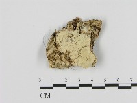 登錄號:F0015294藏品圖，第1張