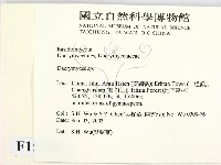 花耳屬藏品圖，第2張