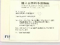 登錄號:F0015296藏品圖，第2張