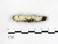 登錄號:F0015296藏品圖，第1張