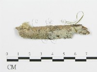 登錄號:F0015297藏品圖，第1張