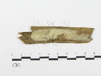 登錄號:F0015298藏品圖，第1張