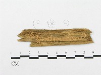 登錄號:F0015298藏品圖，第3張