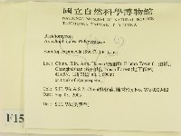 松生擬層孔菌藏品圖，第2張