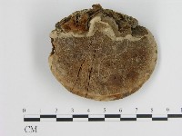 登錄號:F0015300藏品圖，第3張