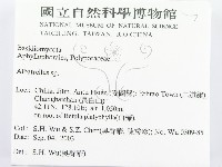 登錄號:F0015302藏品圖，第2張