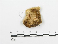 登錄號:F0015302藏品圖，第3張