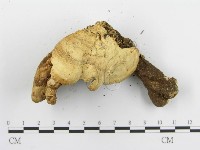 登錄號:F0015302藏品圖，第6張