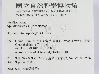 登錄號:F0015303藏品圖，第2張