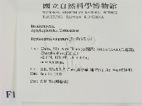 剛毛絲皮菌藏品圖，第2張