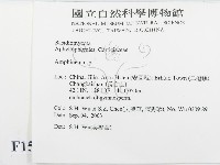 登錄號:F0015306藏品圖，第2張
