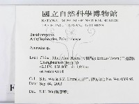 薄孔菌屬藏品圖，第2張