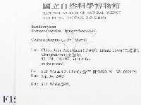 登錄號:F0015309藏品圖，第2張