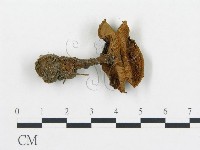 登錄號:F0015309藏品圖，第3張