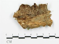 登錄號:F0015310藏品圖，第3張