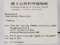 栓菌屬藏品圖，第2張