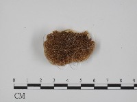 登錄號:F0015312藏品圖，第1張