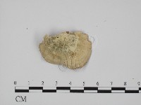 登錄號:F0015312藏品圖，第3張