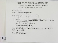 寡孔菌屬藏品圖，第2張