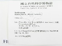集毛菌屬藏品圖，第2張