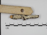 登錄號:F0015316藏品圖，第3張