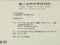 登錄號:F0015317藏品圖，第2張