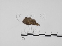 登錄號:F0015317藏品圖，第1張