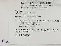 剛毛絲皮菌藏品圖，第2張