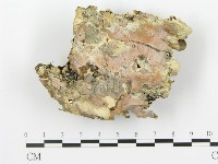 登錄號:F0015320藏品圖，第3張