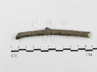 登錄號:F0015321藏品圖，第1張