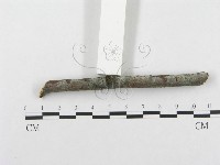 登錄號:F0015321藏品圖，第3張