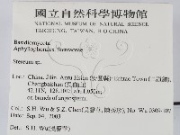 韌革菌屬藏品圖，第2張