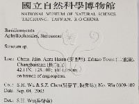 韌革菌屬藏品圖，第2張
