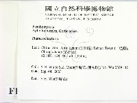 顯絲菌屬藏品圖，第2張