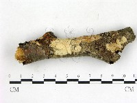 登錄號:F0015326藏品圖，第1張