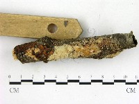 登錄號:F0015326藏品圖，第3張