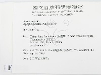 登錄號:F0015328藏品圖，第2張