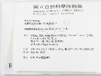登錄號:F0015329藏品圖，第2張