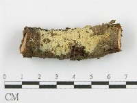 登錄號:F0015329藏品圖，第1張