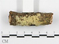 登錄號:F0015329藏品圖，第3張