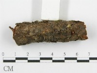 登錄號:F0015329藏品圖，第5張